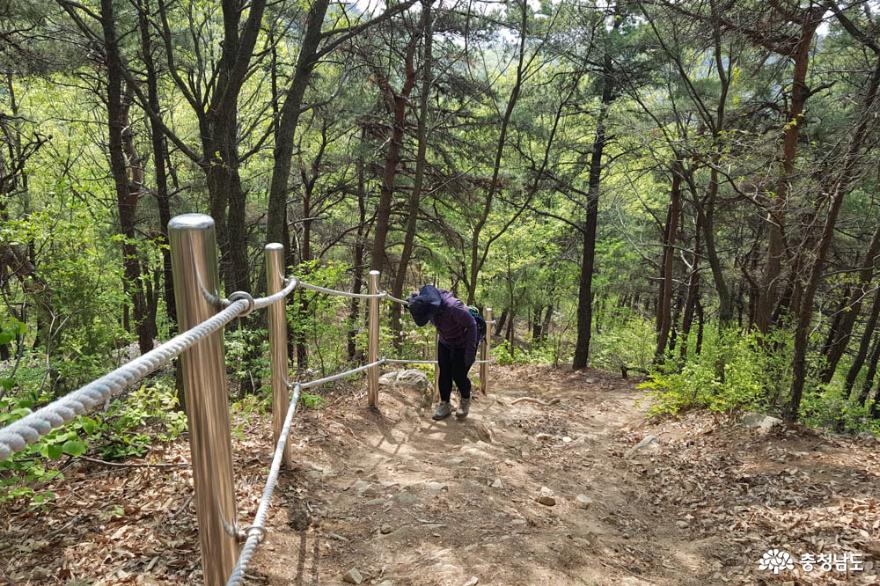 천안 은석산, 꽃 보며 등산할 수 있는 봄 산행지로 추천! 사진