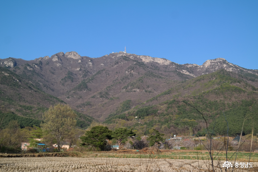 계룡산 원경