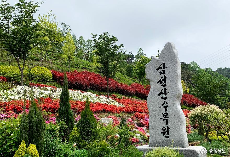 봄꽃 가득한 당진 삼선산수목원 사진