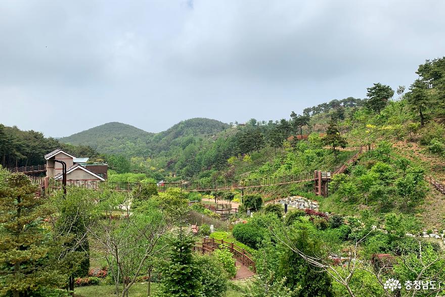 봄꽃 가득한 당진 삼선산수목원 사진