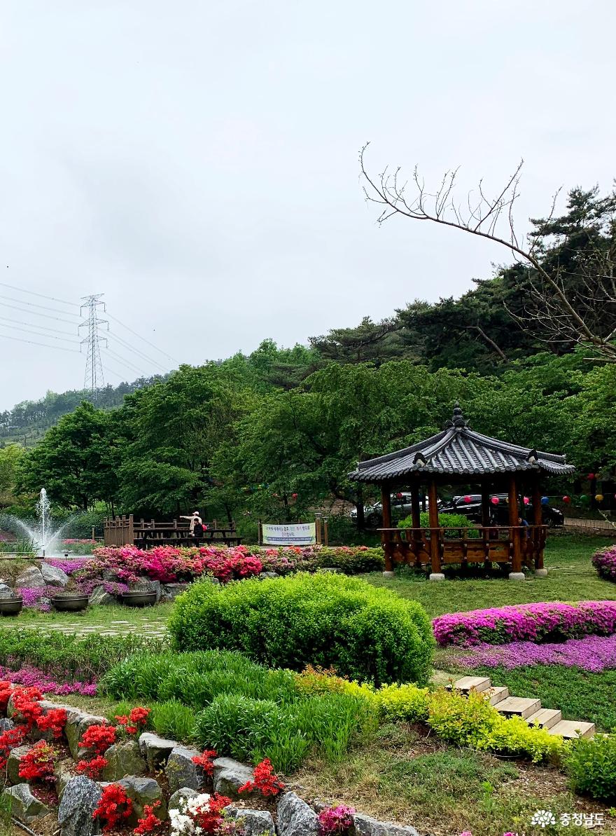 봄꽃 가득한 당진 삼선산수목원 사진