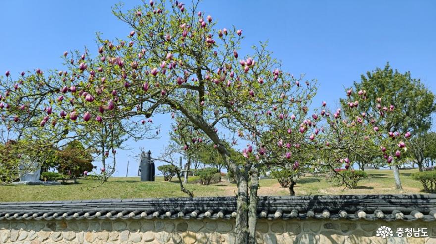 예산 여행, 화순옹주홍문 열녀문과 김한신 합장묘 사진