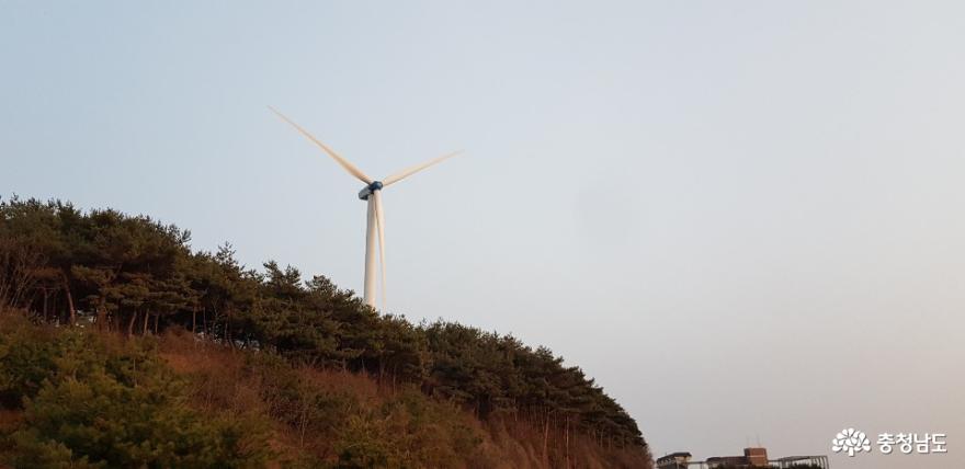 남당리 해안도로를 달리던 중 만난 풍역 발전기 2