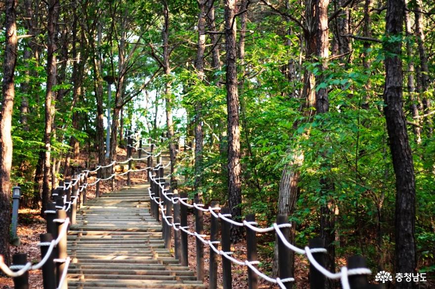 지금 이맘때, 천안아산역 지산공원은 장미로 붉다 사진