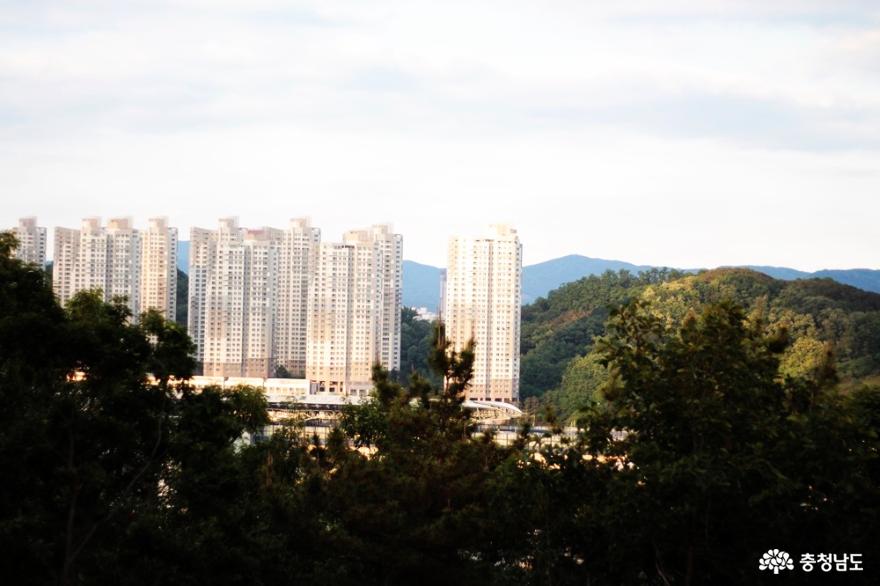 지금 이맘때, 천안아산역 지산공원은 장미로 붉다 사진