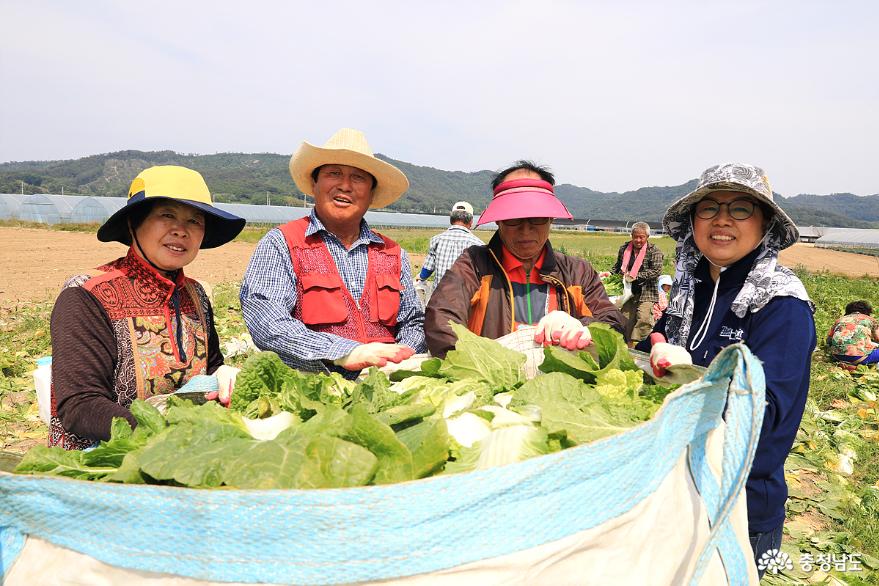 시래기 6차산업의 선구자 부여 '사비팜' 사진