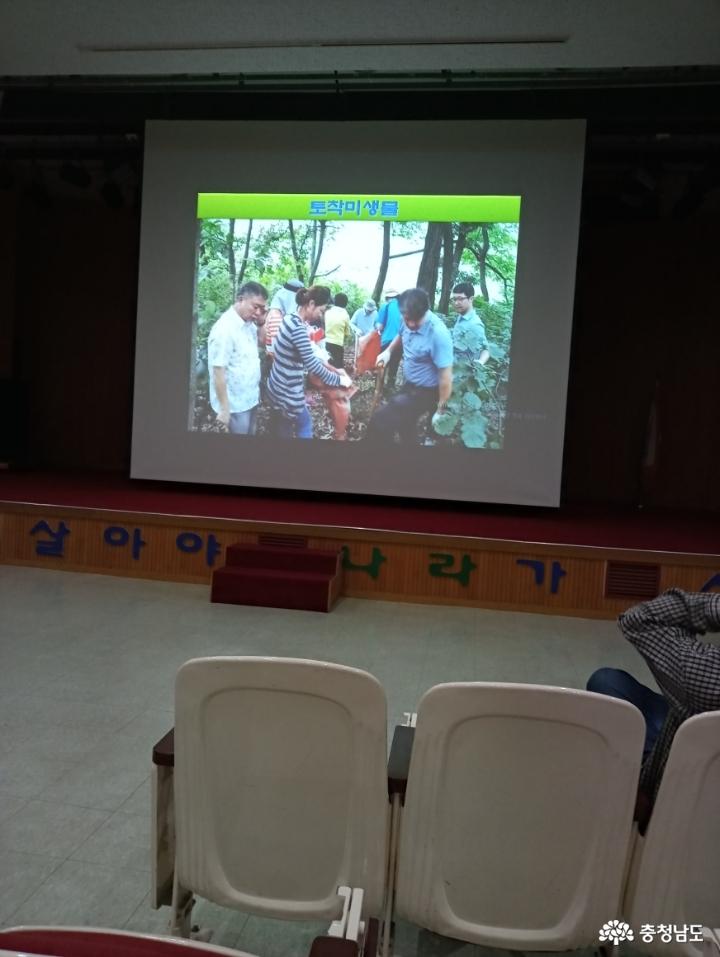 낙엽 멀칭으로 풍성한 텃밭농사 지어요 9
