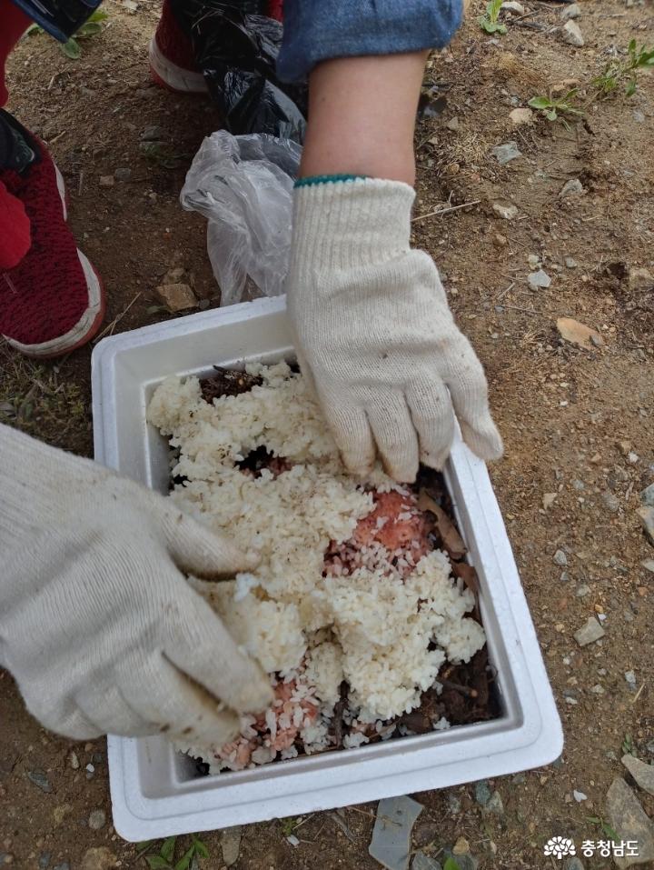 낙엽 멀칭으로 풍성한 텃밭농사 지어요 13