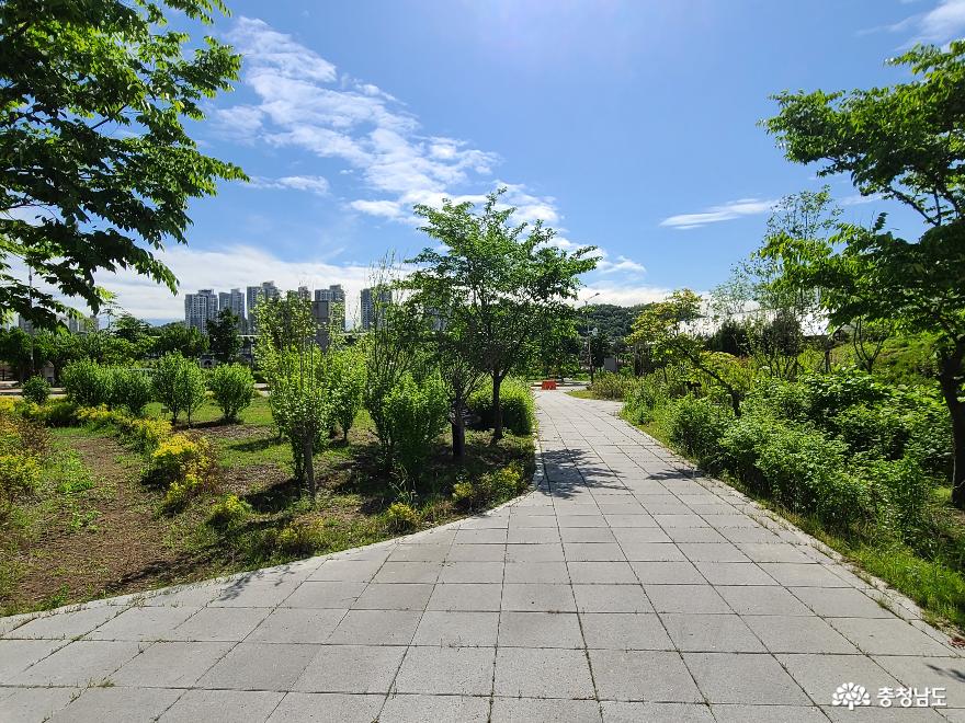 도서관 밖 산책로