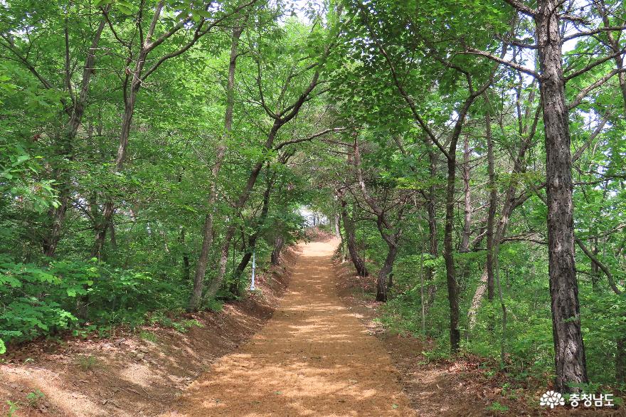 삽티공원 숲길 산책로