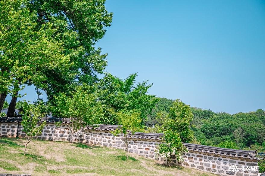 논산백일헌종택으로 조용한 산책 사진