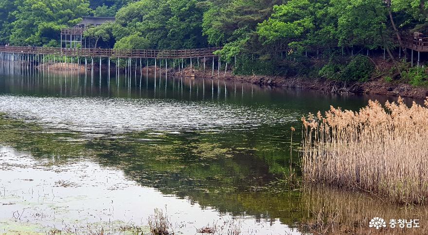천흥저수지 수변데크 산책로 4.