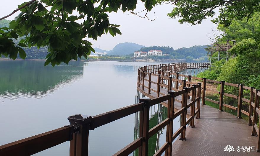 천흥저수지 수변데크 산책로 6.
