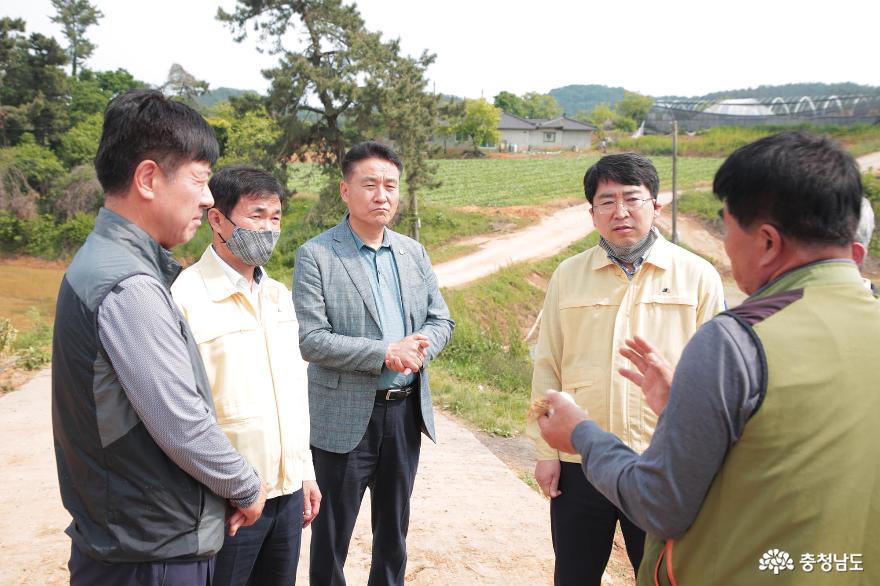 맹정호 서산시장, 마늘 산지폐기 현장 방문해 상황 점검하고 농민 위로 1