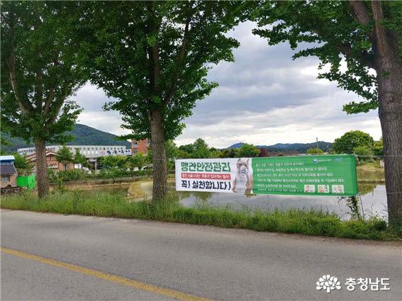 충남도, 성숙한 반려동물 문화 조성을 위한 홍보캠페인 실시 15