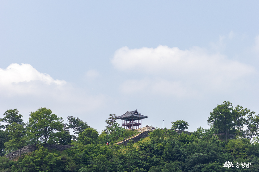 마실, 공주 미르섬 양귀비 나들이 사진