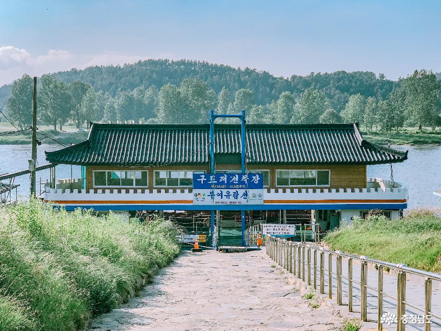 황금빛으로 변해가는 부여 구드래공원 사진