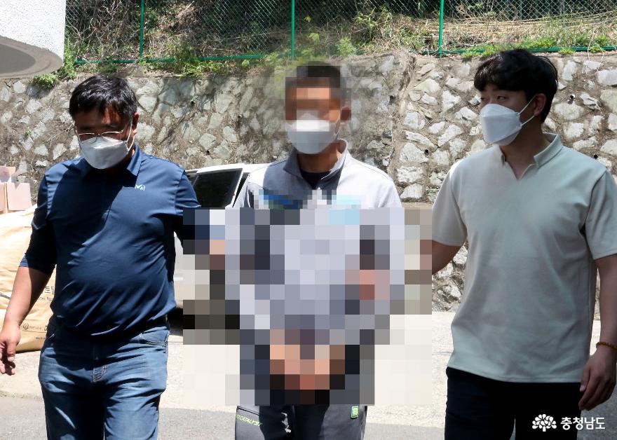 밀입국 중국인들이 연이어 검거되면서 태안해경으로 압송되고 있다.