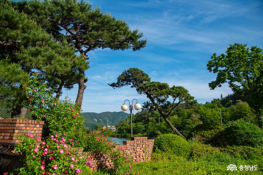 그림같은자연과편의시설이어우러진금산하늘물빛정원 12