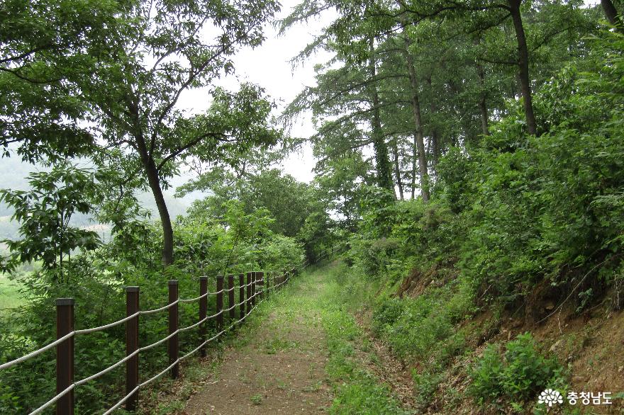 충남 걷기 좋은 길, 예산 황새공원