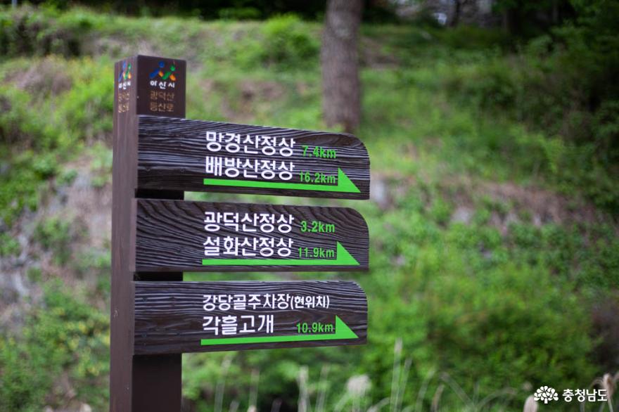 더워진 날씨, 나무와 숲의 고마움을 느끼게 해 주는 광덕산 1
