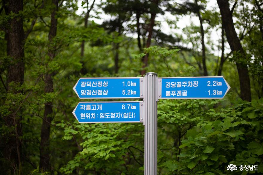 더워진 날씨, 나무와 숲의 고마움을 느끼게 해 주는 광덕산 9