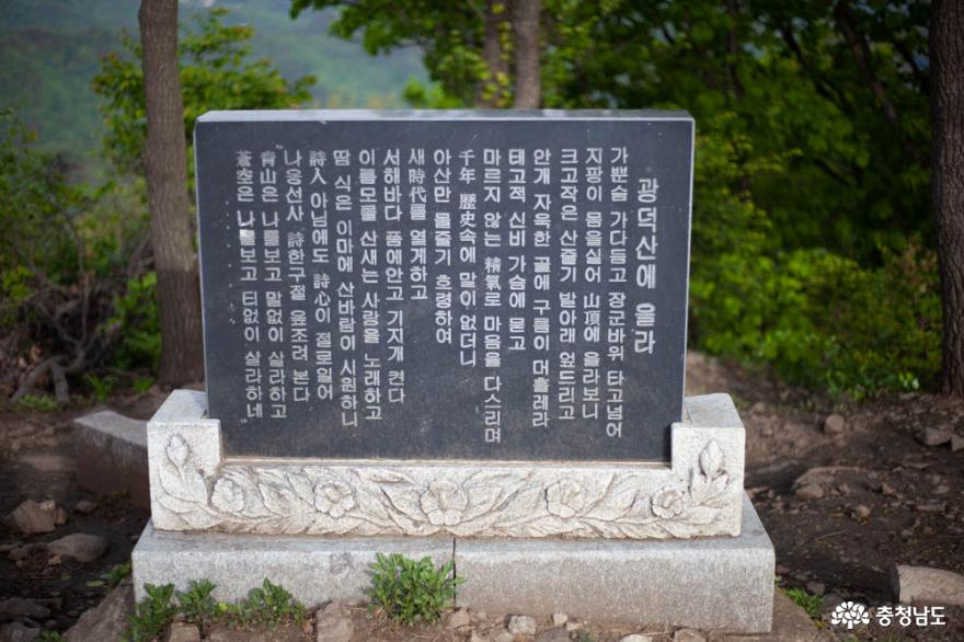 더워진 날씨, 나무와 숲의 고마움을 느끼게 해 주는 광덕산 13