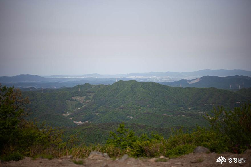 더워진 날씨, 나무와 숲의 고마움을 느끼게 해 주는 광덕산 14