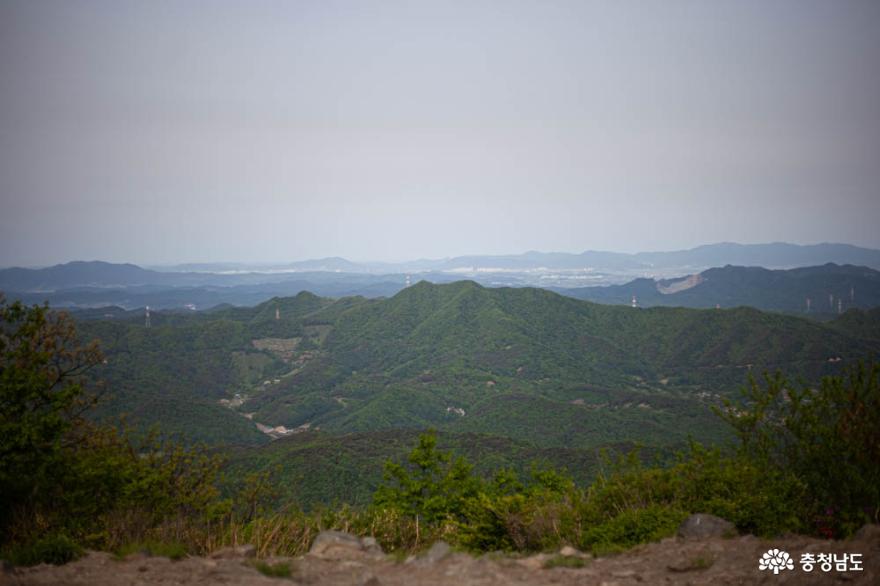 더워진 날씨, 나무와 숲의 고마움을 느끼게 해 주는 광덕산 사진