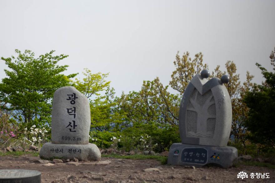 더워진 날씨, 나무와 숲의 고마움을 느끼게 해 주는 광덕산 16