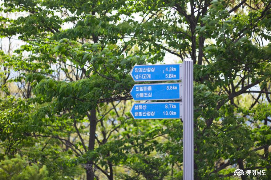 더워진 날씨, 나무와 숲의 고마움을 느끼게 해 주는 광덕산 17