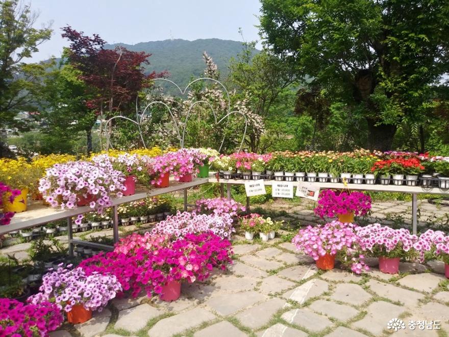 꽃향기 맡으며 가볍게 산책하기 좋은 '아름다운정원 화수목' 8