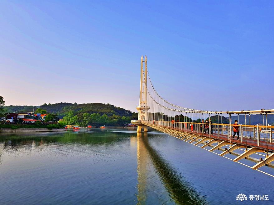 더위로 지친 일상의 활력소가 되어 준 거대분수쇼! 사진