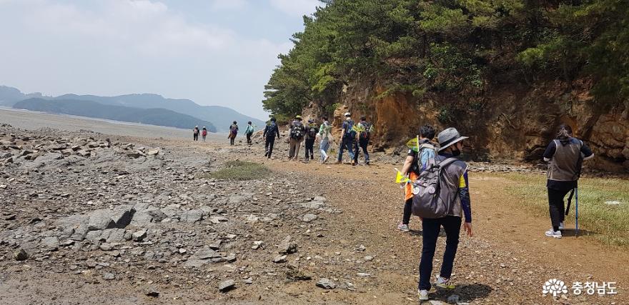 가로림만 일대 국가해양정원센터로 머지않아 조성 사진