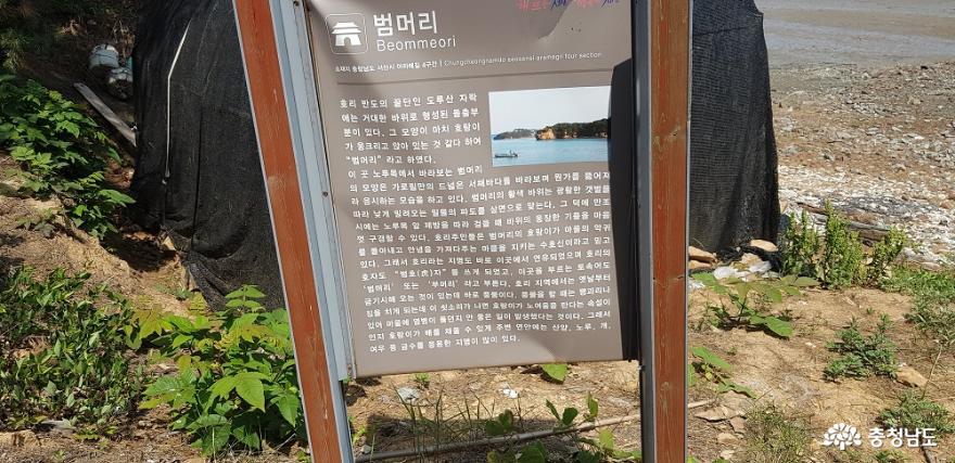 가로림만 일대 국가해양정원센터로 머지않아 조성 13