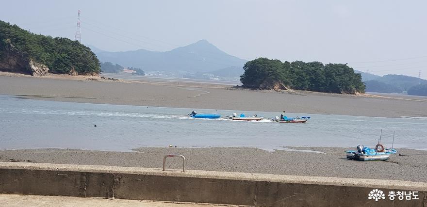 가로림만 일대 국가해양정원센터로 머지않아 조성 사진