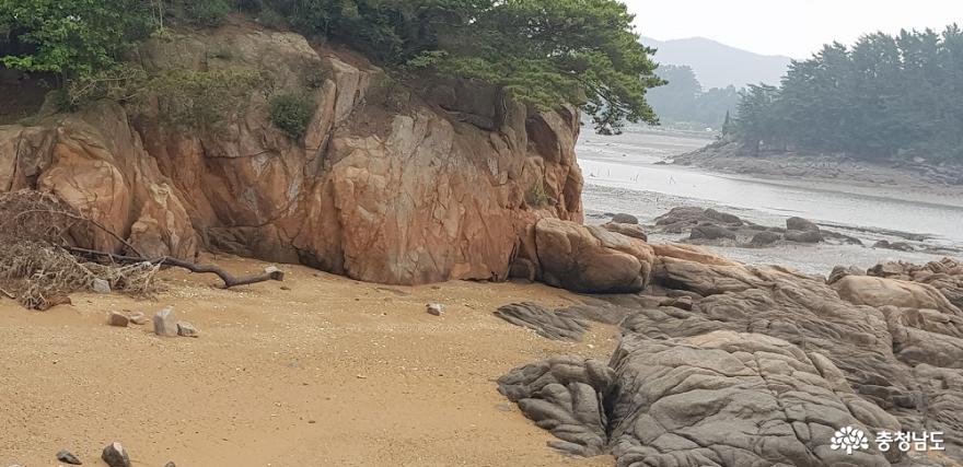 가로림만 일대 국가해양정원센터로 머지않아 조성 사진