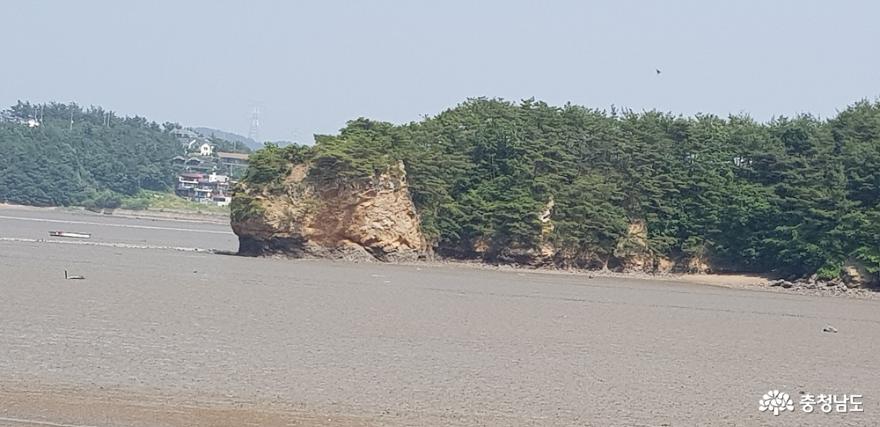 가로림만 일대 국가해양정원센터로 머지않아 조성 14