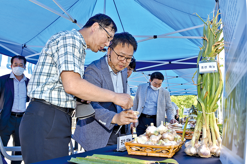 홍산마늘 결과 평가 현장 연찬회 1