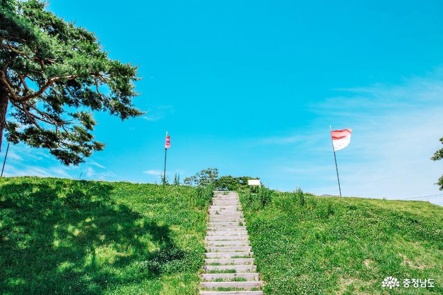 홍성 여행의 시작 홍성 홍주읍성  산책 사진