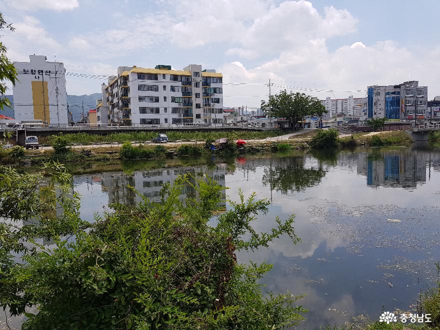 충남 보령, 대천천에서 커다란 행운과 만나다