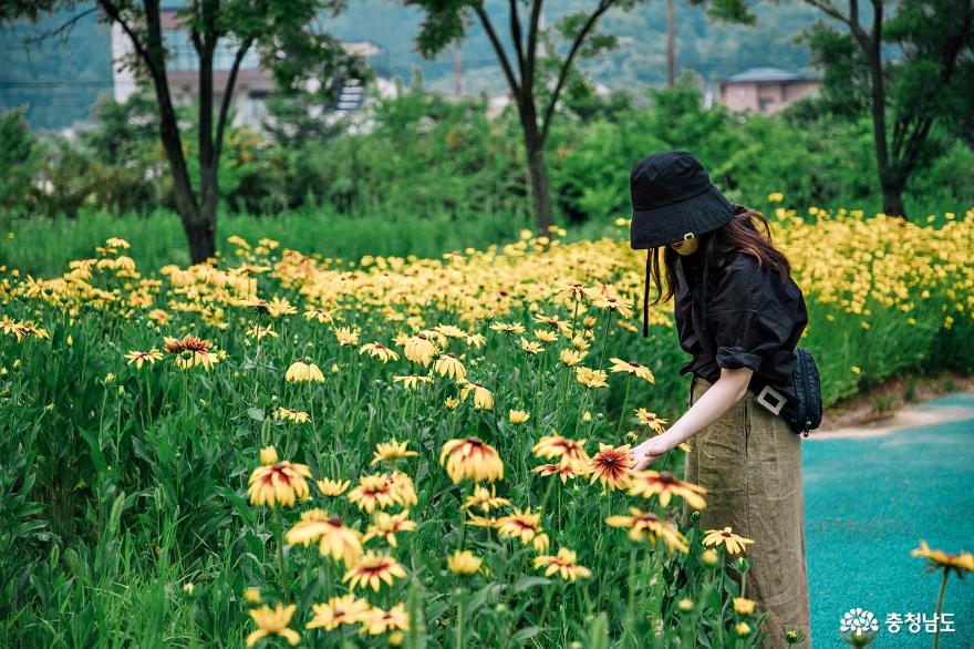 아산 신정호 산책하며 건강 챙기기