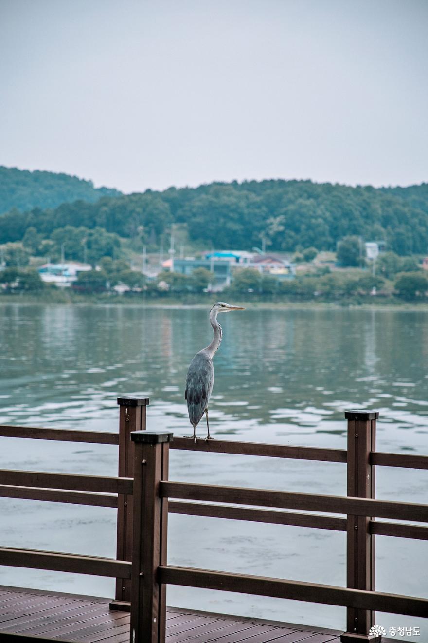 아산 신정호 산책하며 건강 챙기기 사진