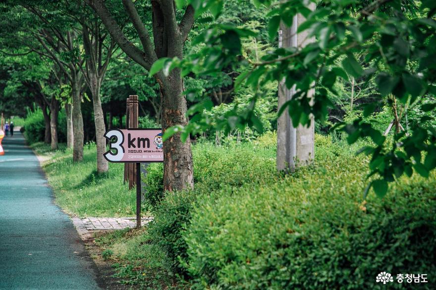 아산 신정호 산책하며 건강 챙기기 사진