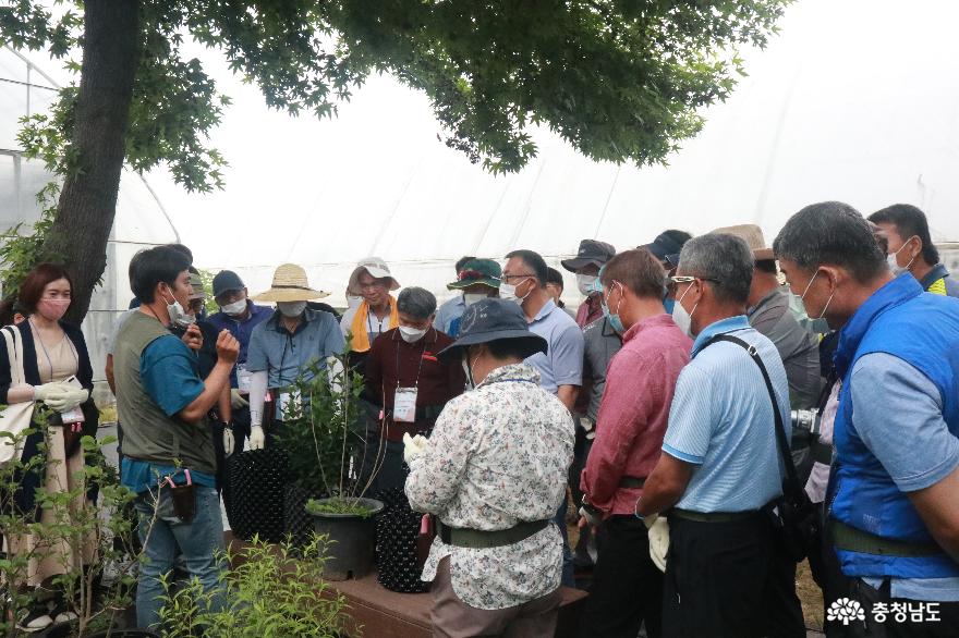 충남교육청, 나라꽃 지킴이 양성 교육과정 운영 2