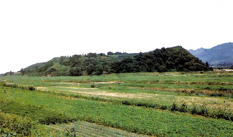 멀리서 본 예산산성