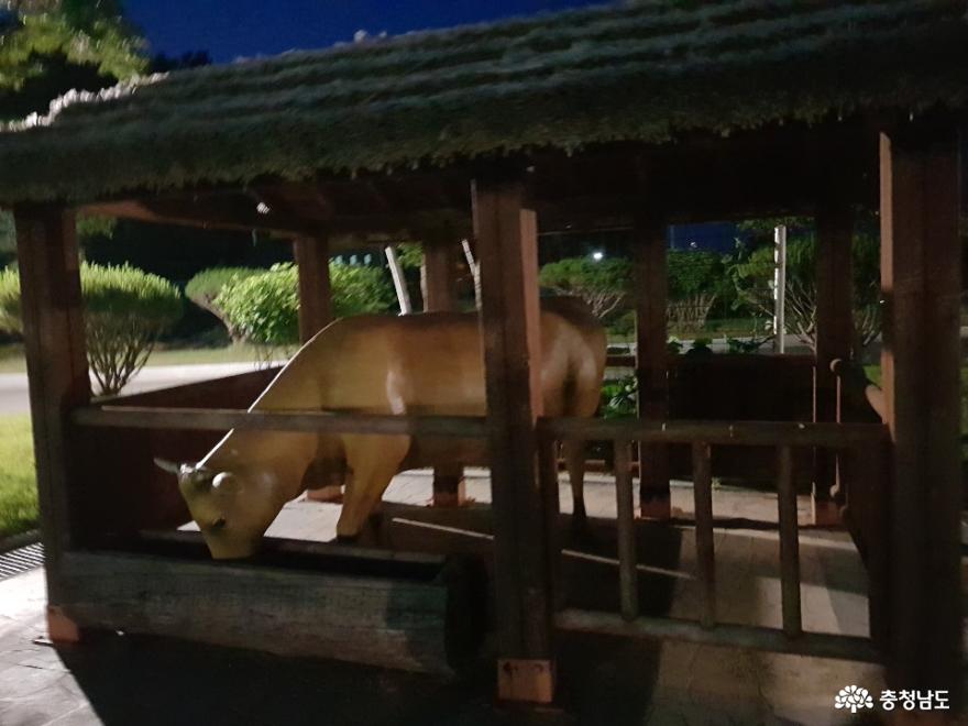소를 테마로 한 광시한우테마공원 사진