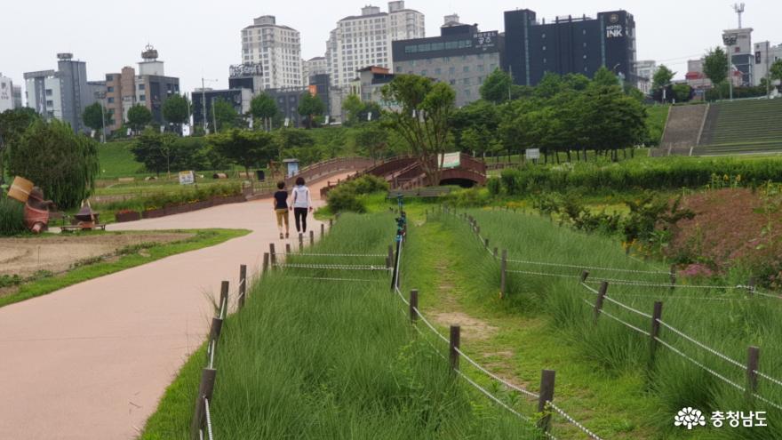 미르섬을 산책하는 사람들