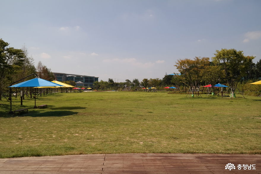 넓게 펼쳐진 논산 시민공원 잔디밭