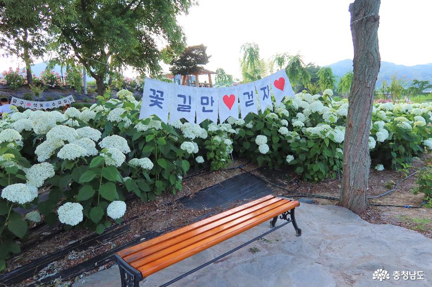 꽃길만 걷자